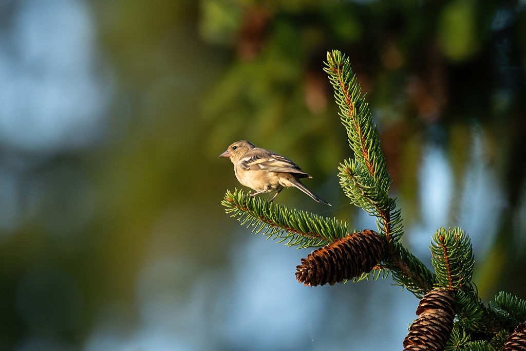Новини України - Спека до 35° та місцями грози: погода на вихідні