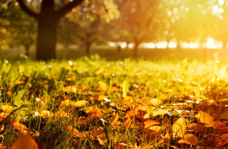 Спека, подекуди грози: синоптики про погоду на початку вересня