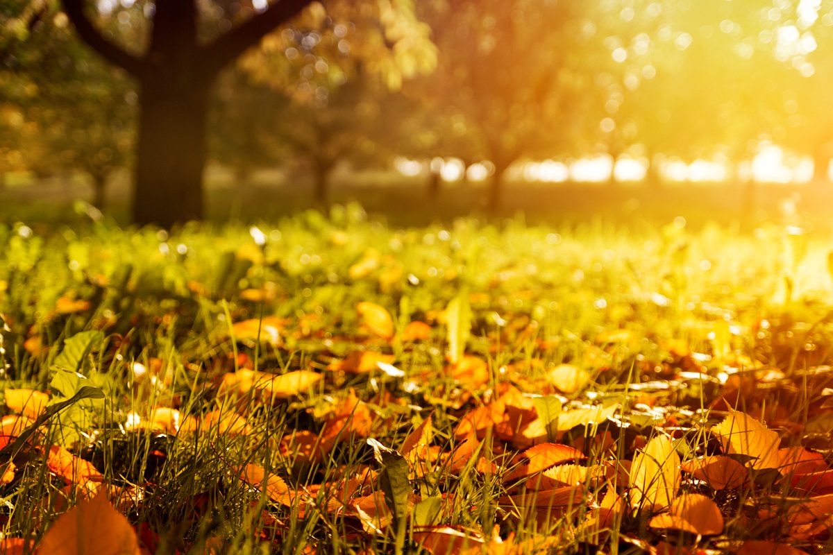 Новини України - Спека, подекуди грози: синоптики про погоду на початку вересня