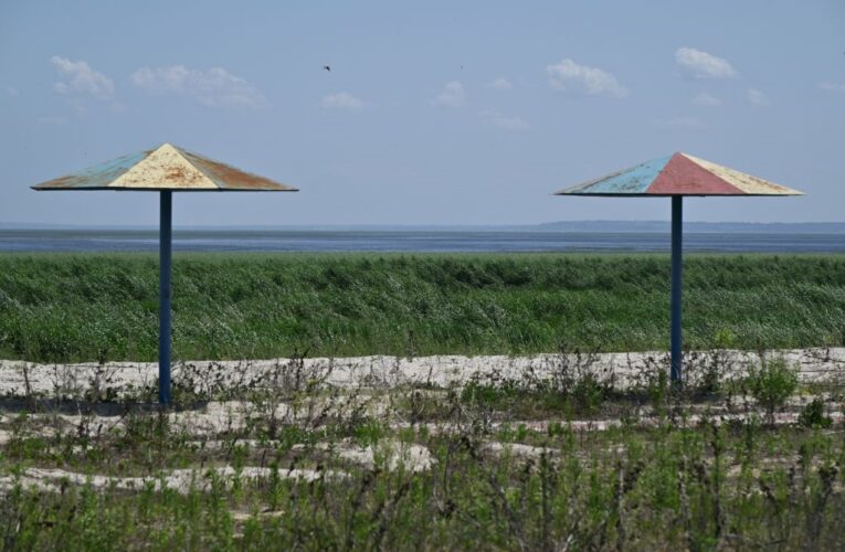 Територію Каховське водосховище регулярно охоплює вогонь – Держекоінспекція