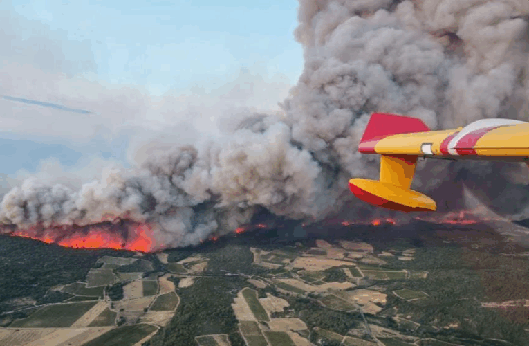 У Франції вирує масштабна лісова пожежа