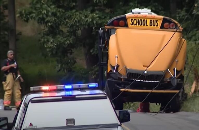 У США десятки дітей постраждали в ДТП з автобусом