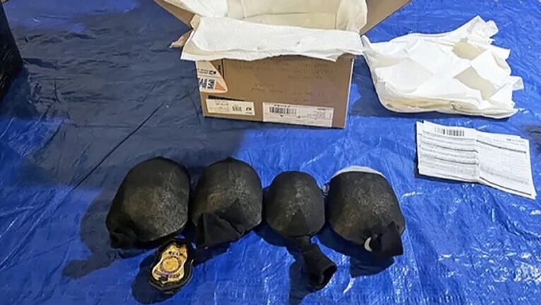 У США затримали чоловіка, який хотів вивезти понад 850 рідкісних черепах