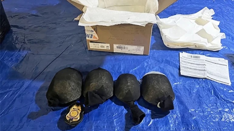 Новини світу - У США затримали чоловіка, який хотів вивезти понад 850 рідкісних черепах