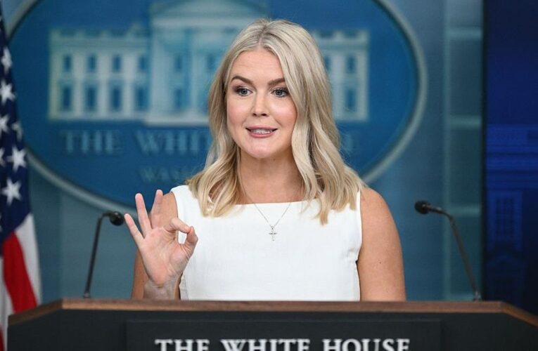 У Трампа відповіли щодо авіації США в Україні