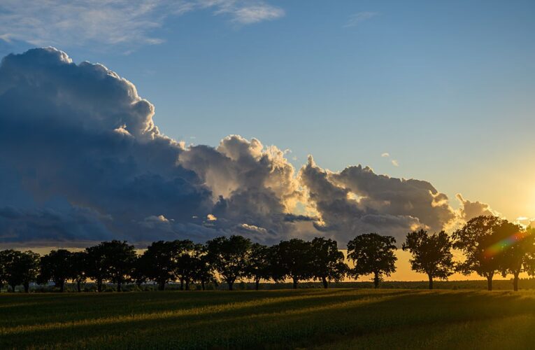 Українцям обіцяють суху та спекотну погоду на вихідних