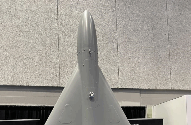 В США створили аналог іранського “шахеда”