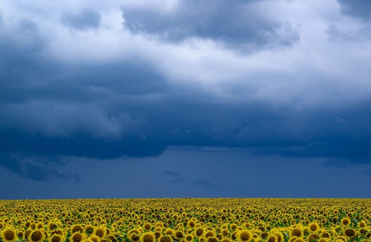 В Україні прогнозують до +33°, подекуди грози та град