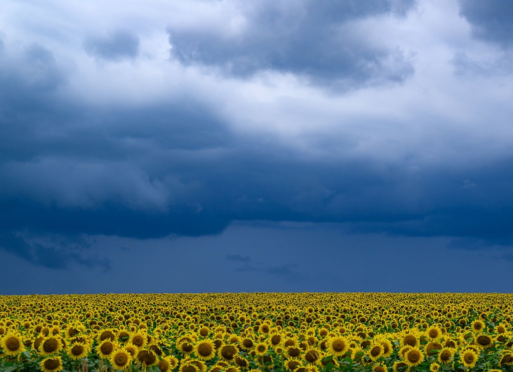 Новини України - В Україні прогнозують до +33°, подекуди грози та град