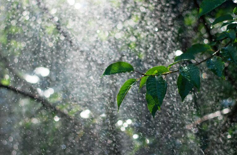 В Україні прогнозують суху та теплу погоду