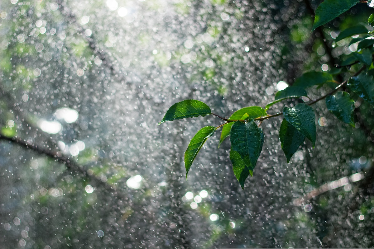 Новини України - В Україні прогнозують суху та теплу погоду