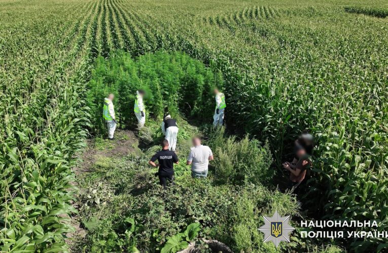 В Україні провели масштабну операцію Джентельмени