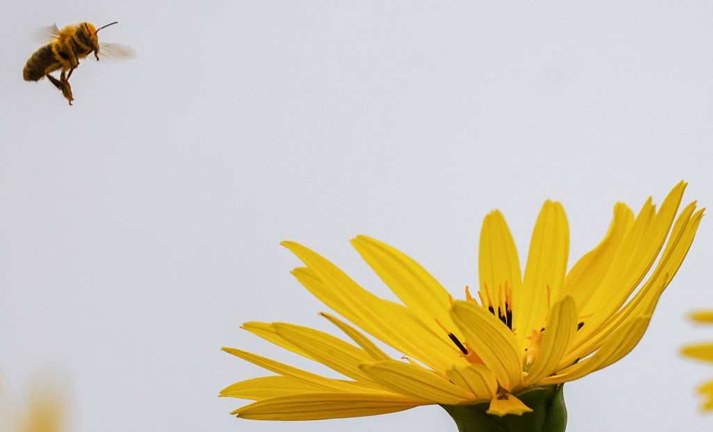 Новини України - В Україні утримається суха та тепла погода