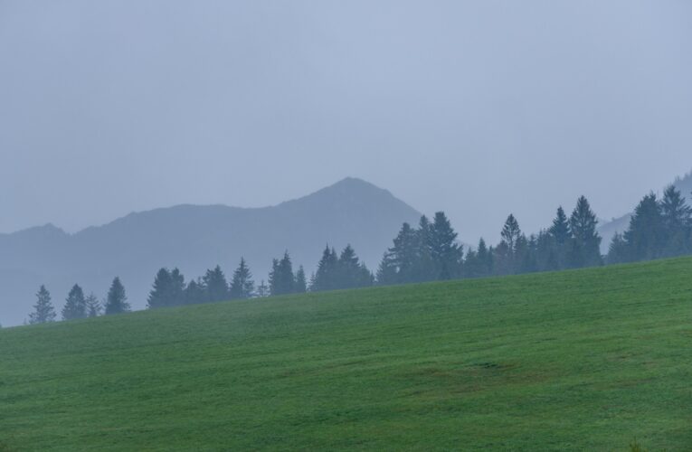 В Україні збережеться прохолодна погода, місцями дощитиме