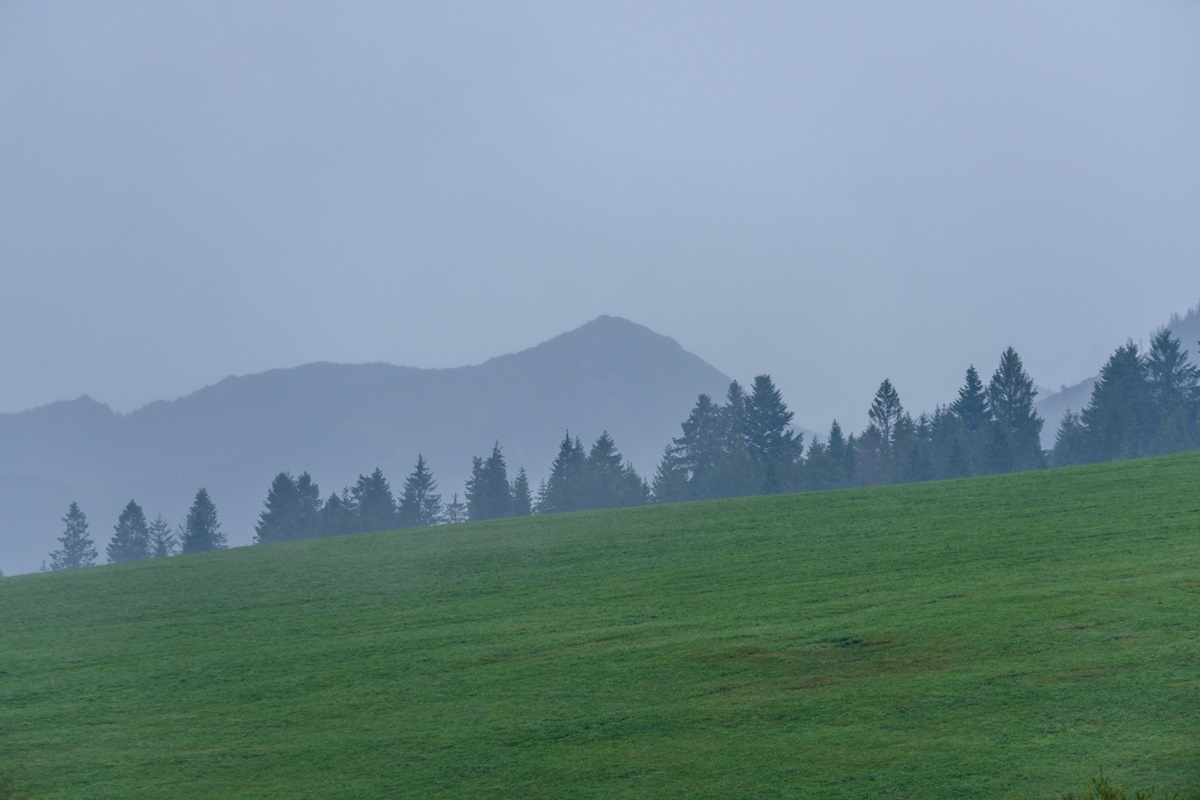 Новини України - В Україні збережеться прохолодна погода, місцями дощитиме