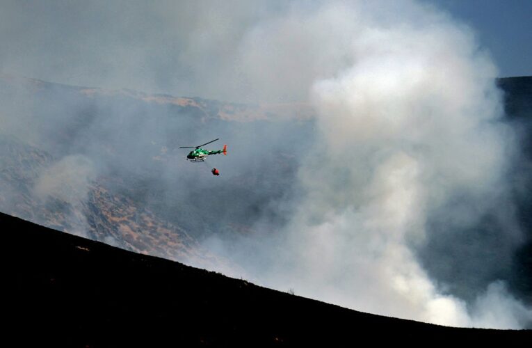 В ЄС через пожежі вигоріла площа розміром з Кіпр