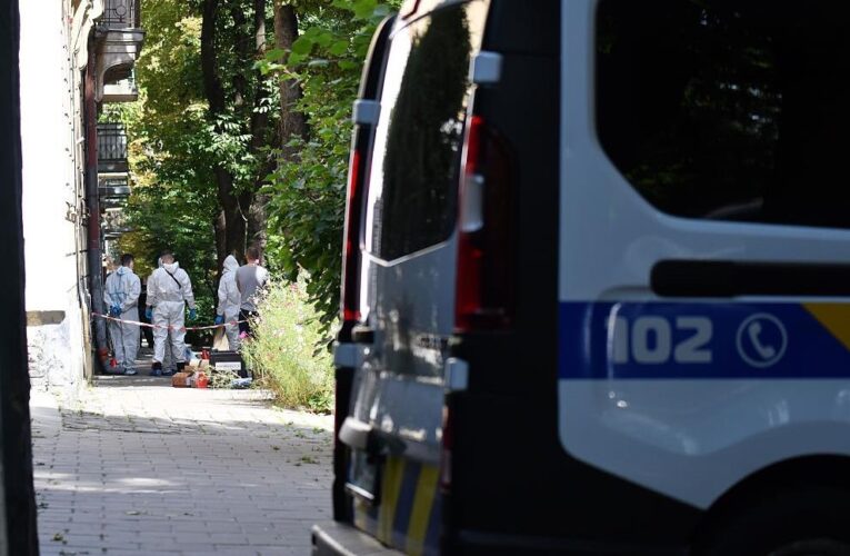 Вбивство Парубія: оприлюднено деталі розслідування