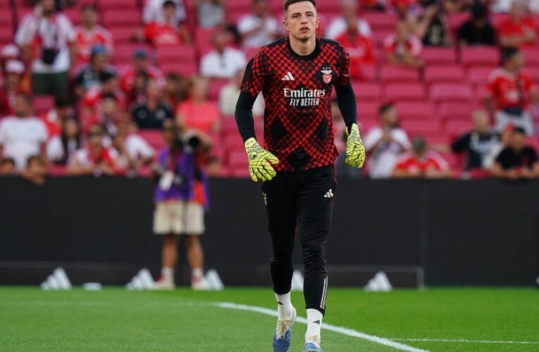 Визначилась участь Трубіна у матчі проти Фенербахче в ЛЧ