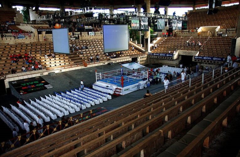 Японія скорочує формати поєдинків після смертельних інцидентів на рингу