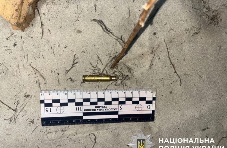 Жителю Київщини загрожує до трьох років за вбивство алабая