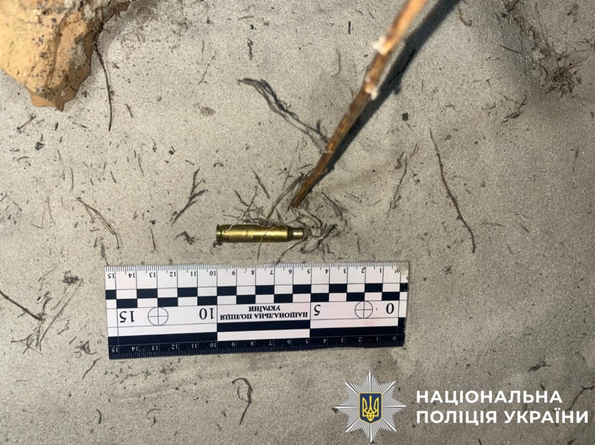 Новини України - Жителю Київщини загрожує до трьох років за вбивство алабая