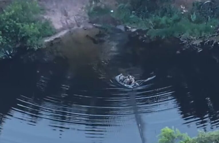 ЗСУ зірвали спробу наступу росіян на Донеччині