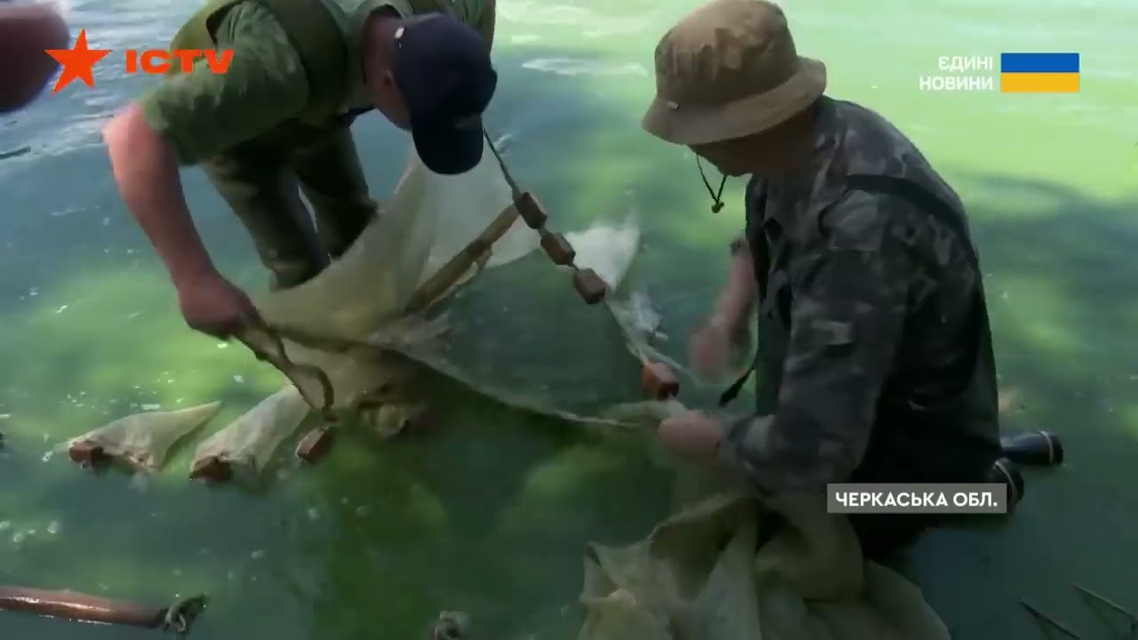 ❗️Черкаські рибоохоронці спільно з науковцями досліджують іхтіофауну Кременчуцького водосховища
