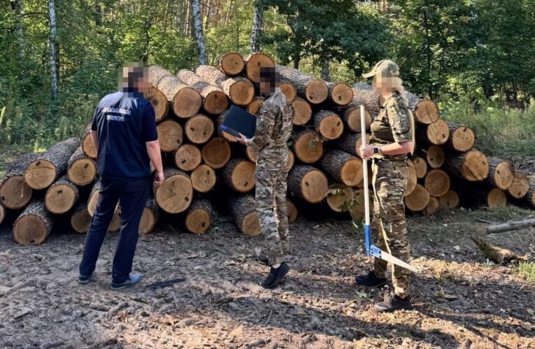 ДБР оголосило підозру екскерівнику лісгоспу Харківщини