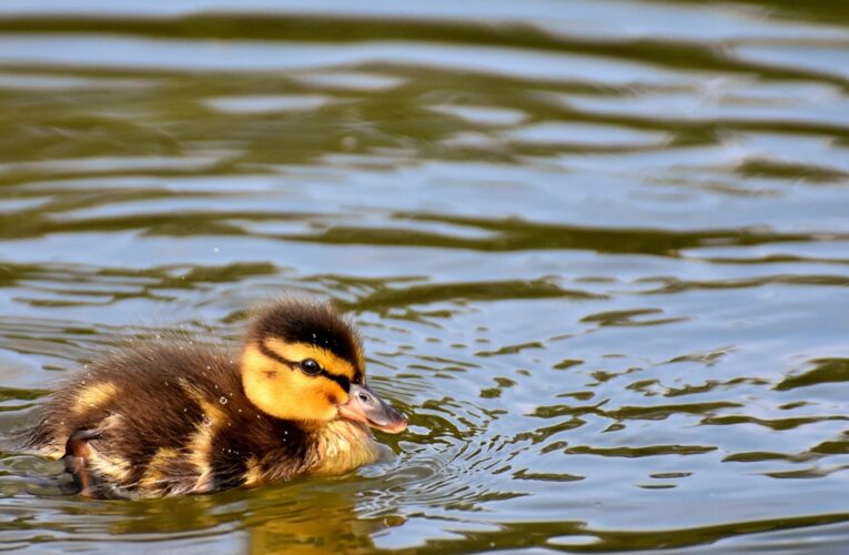 Гороскоп для всіх знаків зодіаку на 3 вересня 2025 року