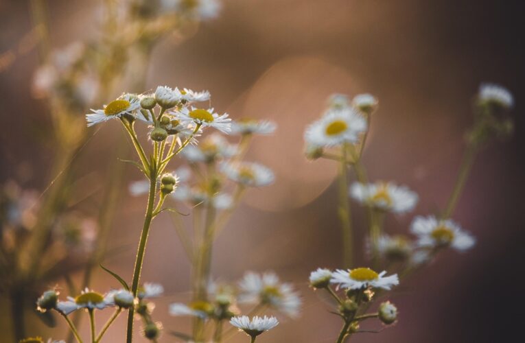 Гороскоп для всіх знаків зодіаку на вихідні 6-7 вересня 2025 року