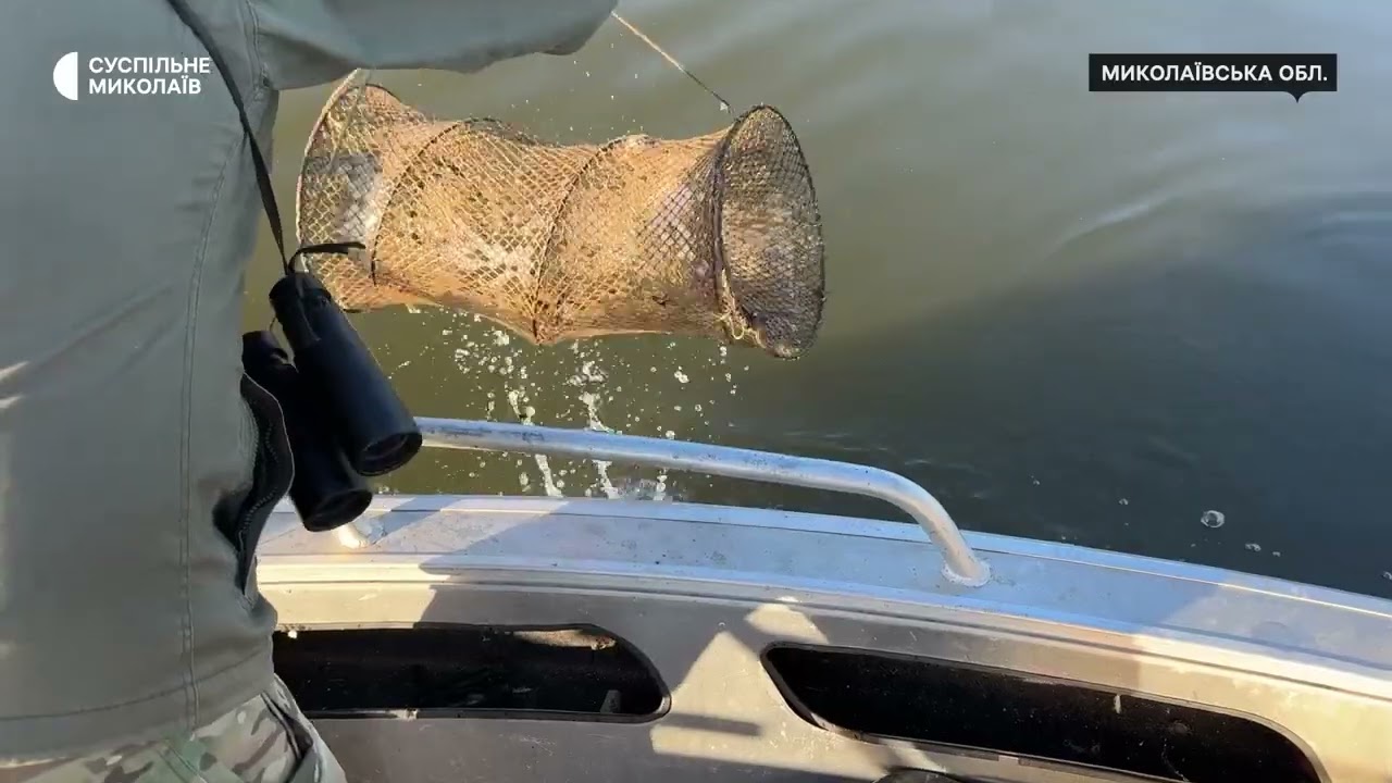 ❗️Рибоохоронний рейд на Південному Бузі