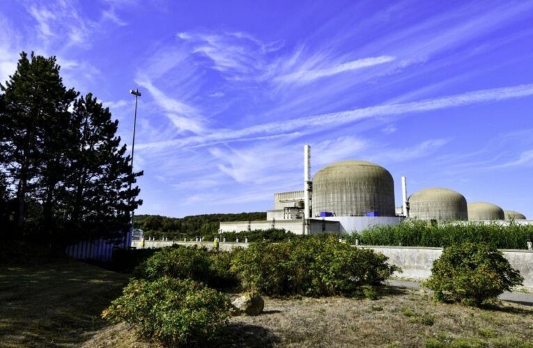 Рій медуз “зменшив” виробництво електроенергії на АЕС у Франції