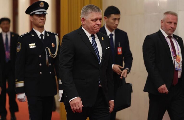 Сі Цзіньпін доручив Фіцо просувати інтереси Китаю в ЄС