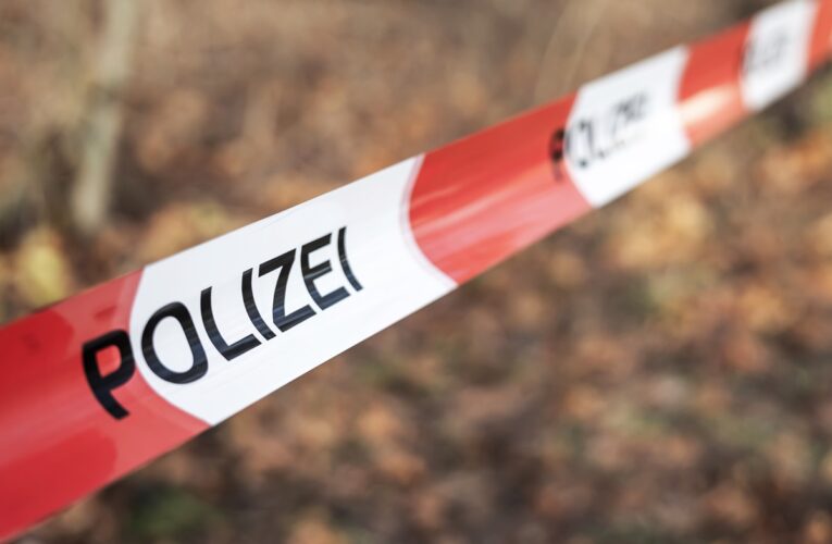 У Німеччині вбили 16-річну українку, штовхнувши під вантажний потяг