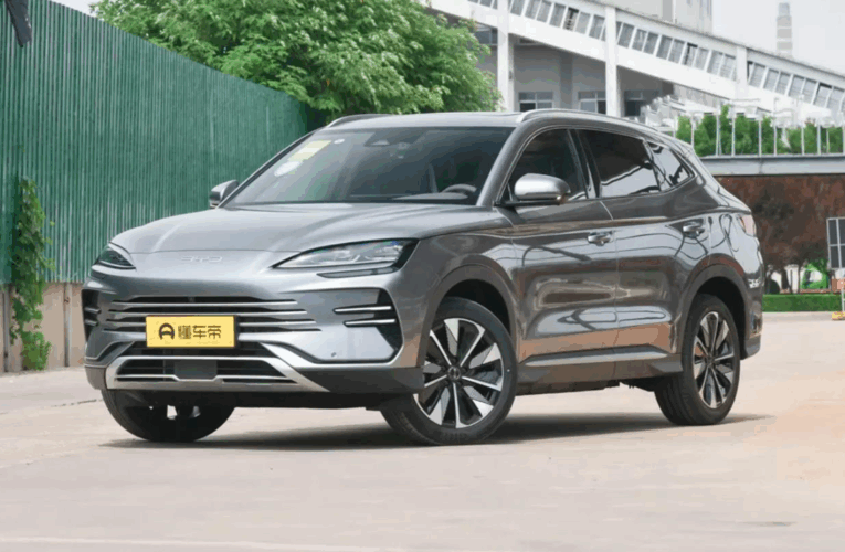 У серпні ринок електромобілів в Україні зріс на майже 14%