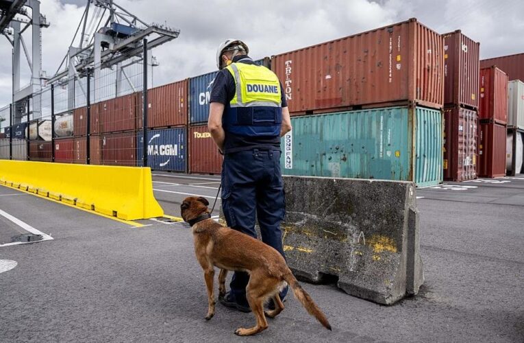 В порту Антверпена бельгійська поліція вилучила 1,2 тонни кокаїну