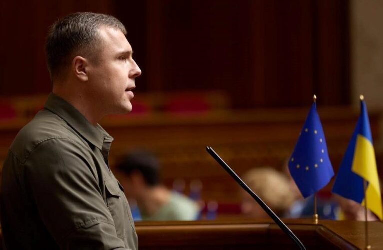 Вбивця Парубія планував отримати гроші і втікти за кордон – нардеп