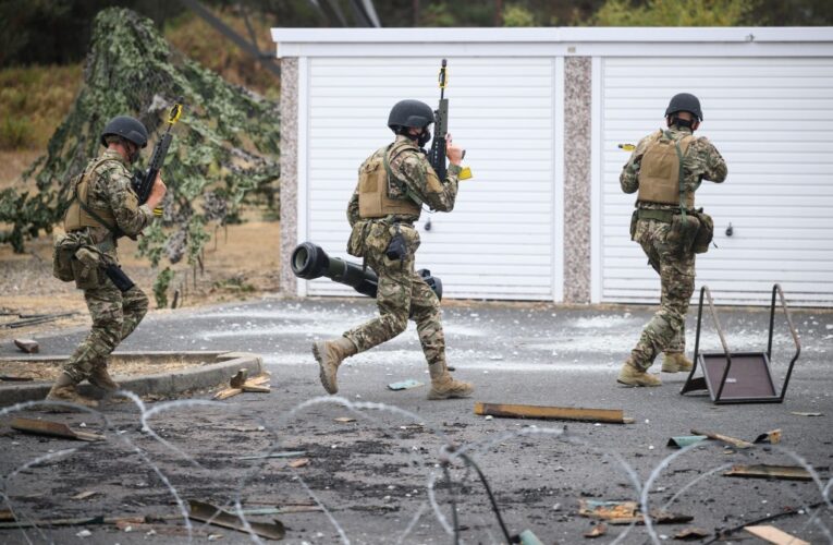 Війська з Бангладеш. Ідея буферної зони в Україні