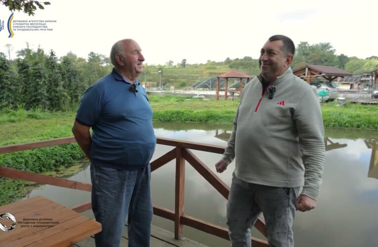 Аквакультура у передгір’ї Карпат: унікальний шлях господарства «Голуба Нива»