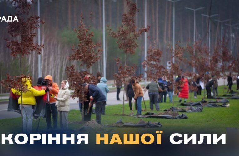 Кожен дуб – історія життя та подвигу полеглого воїна