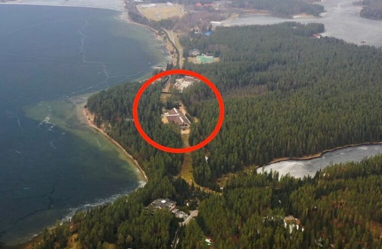 “Атака” на резиденцію Путіна: для чого ця байка