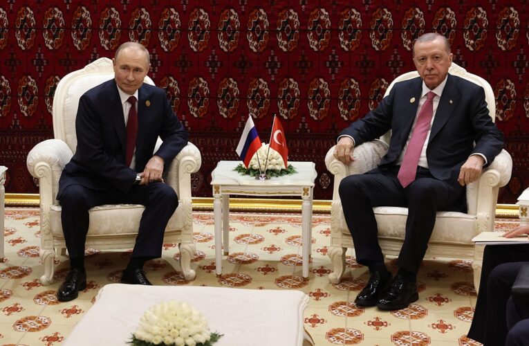 Ердоган запропонував Путіну режим тиші для енергооб’єктів та портів