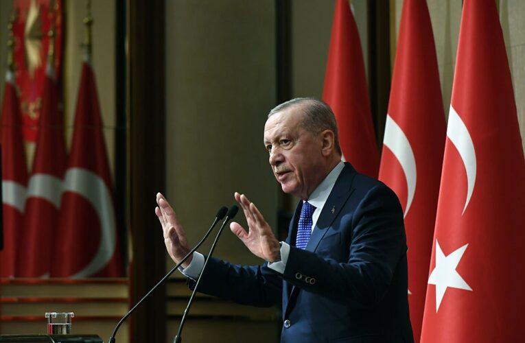 Ердоган зробив заяву на тлі збиття дрона над Чорним морем