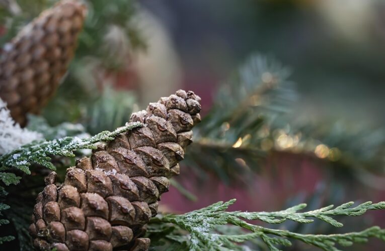 Гороскоп для всіх знаків зодіаку на 19 грудня 2025 року