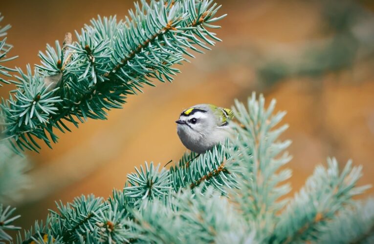 Гороскоп для всіх знаків зодіаку на 4 грудня 2025 року
