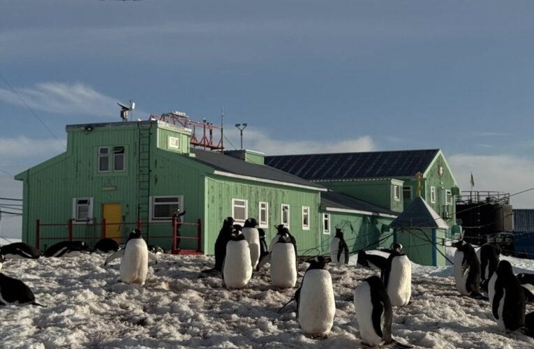 Метеорологи на Вернадському зафіксували кліматичну аномалію