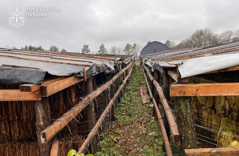 На Хмельниччині викрили підпільне виробництво тютюну