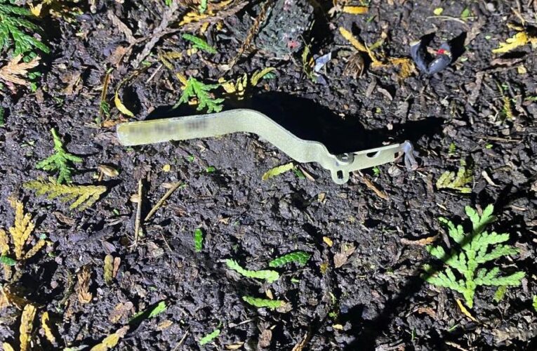 На Львівщині в ресторані вибухнула граната