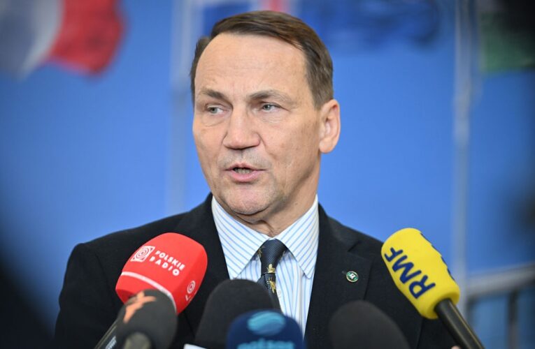 Польща підтримала Данію та Гренландію після заяв Трампа