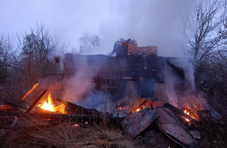 Росіяни обстріляли ферму на Чернігівщині: загинули корови